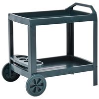 vidaXL Dranktrolley 69x53x72 cm kunststof groen