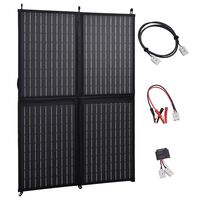 vidaXL Cargador solar plegable 100 W 12 V