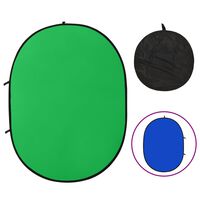 vidaXL 2 in 1 Oval Studio Background Screen Green and Blue 200x150 cm