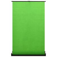 vidaXL Photography Backdrop Green 95" 4:3