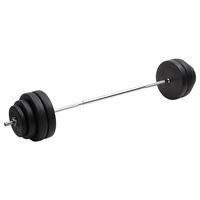 vidaXL Barra com discos 60 kg